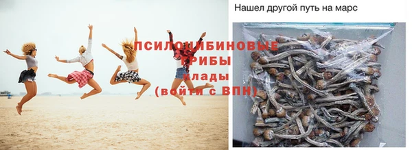 спиды Горняк