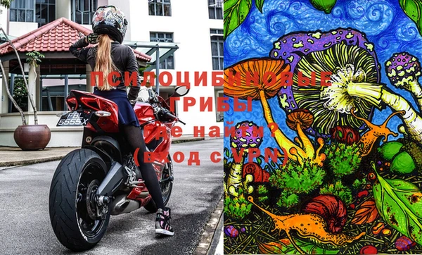 a pvp Горнозаводск