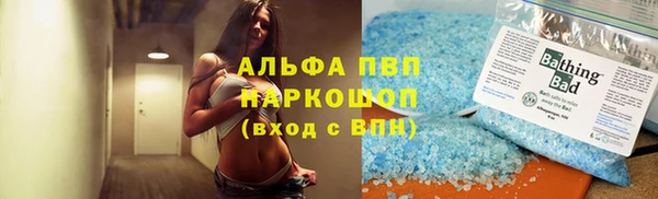 спиды Горняк