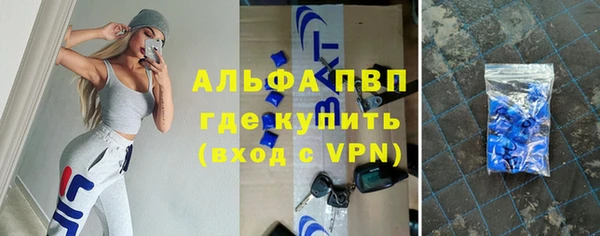 спиды Горняк